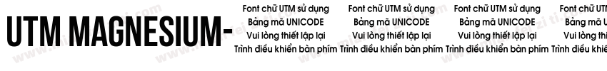 utm magnesium字体转换